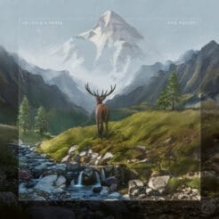 Caligula's Horse - Rise Radiant (Rock) [Progressive Metal] on Inside Out Music, Sony Music (2020) [Vinyl, CD, All Media] (LP)