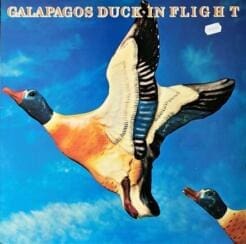 Galapagos Duck - In Flight (Jazz) [Smooth Jazz, Contemporary Jazz] on Philips (1979) [Vinyl] (LP)