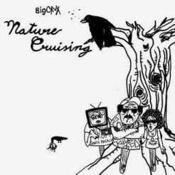 Big Crux - Nature Cruising (Rock, Funk / Soul) [Hardcore, Punk] on (SD)F Records (2011) [Vinyl] (12")