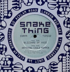 Snake Thing - Blizzard Of Ooze / Anything Could Happen (Electronic) [Breakbeat, Goa Trance] on TIP Records (1998) [Vinyl] (12")