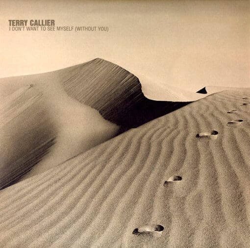 Terry Callier - I Don't Want To See Myself (Without You) (Electronic) [Deep House] on Talkin' Loud (1999) [Vinyl] (12")