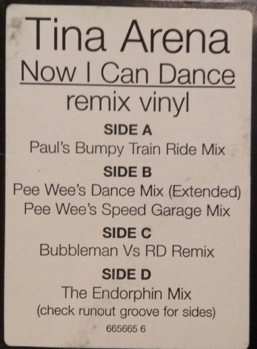 Tina Arena - Now I Can Dance (Remix Vinyl) (Electronic) [House, UK Garage, Speed Garage] on Columbia (1998) [Vinyl] (12")