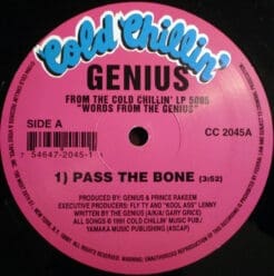 The Genius - Pass The Bone (Hip Hop) [Conscious] on Cold Chillin' (1998) [Vinyl] (12")