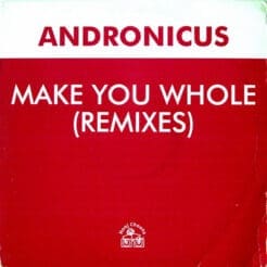 Andronicus - Make You Whole (Remixes) (Electronic) [Progressive House, House] on Hooj Choons (1996) [Vinyl] (12")