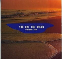 Schawkie Roth - You Are The Ocean (Jazz, Folk, World, & Country) [New Age] on Omagatoki (1986) [Vinyl] (LP)