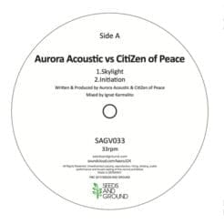 Aurora Acoustic, CitiZen of Peace - Aurora Acoustic Vs CitiZen of Peace (Electronic, Folk, World, & Country) [Downtempo, New Age] on Seeds And Ground (2014) [Vinyl] (12")