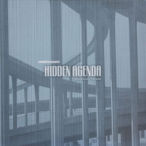 Hidden Agenda - Rogue Soul / The Slide (Electronic) [Drum n Bass] on Creative Source (1996) [Vinyl] (12")